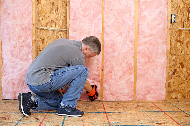 Eco-Friendly or Green Insulation Solutions in Herndon, VA